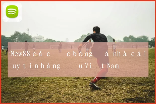 New88 cá cược bóng đá nhà cái uy tín hàng đầu Việt Nam
