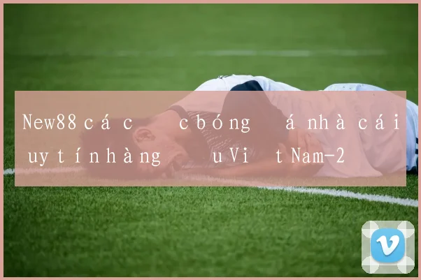 New88 cá cược bóng đá nhà cái uy tín hàng đầu Việt Nam