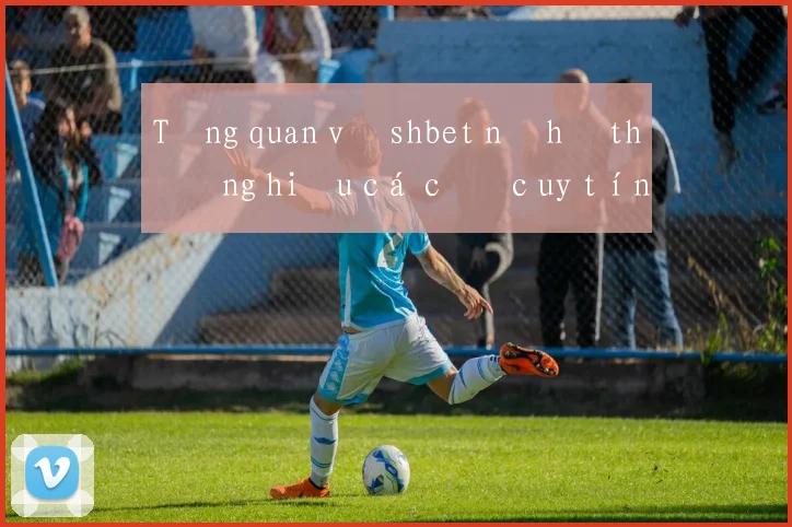 Tổng quan về shbet nổ hũ thương hiệu cá cược uy tín