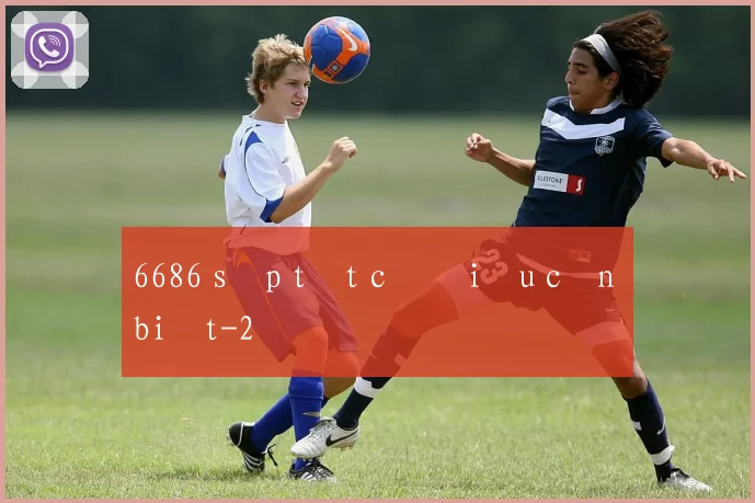 6686 sập tất cả điều cần biết